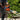 Oleomac GS451 Chainsaw