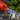 Oleomac GS451 Chainsaw