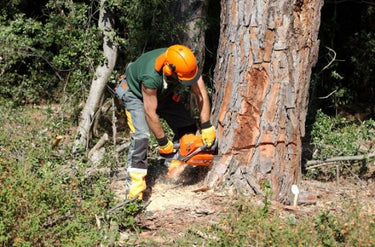 Oleomac GS650 Chainsaw