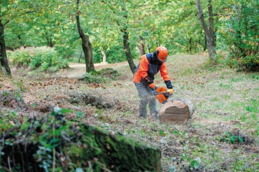 Oleomac GS650 Chainsaw